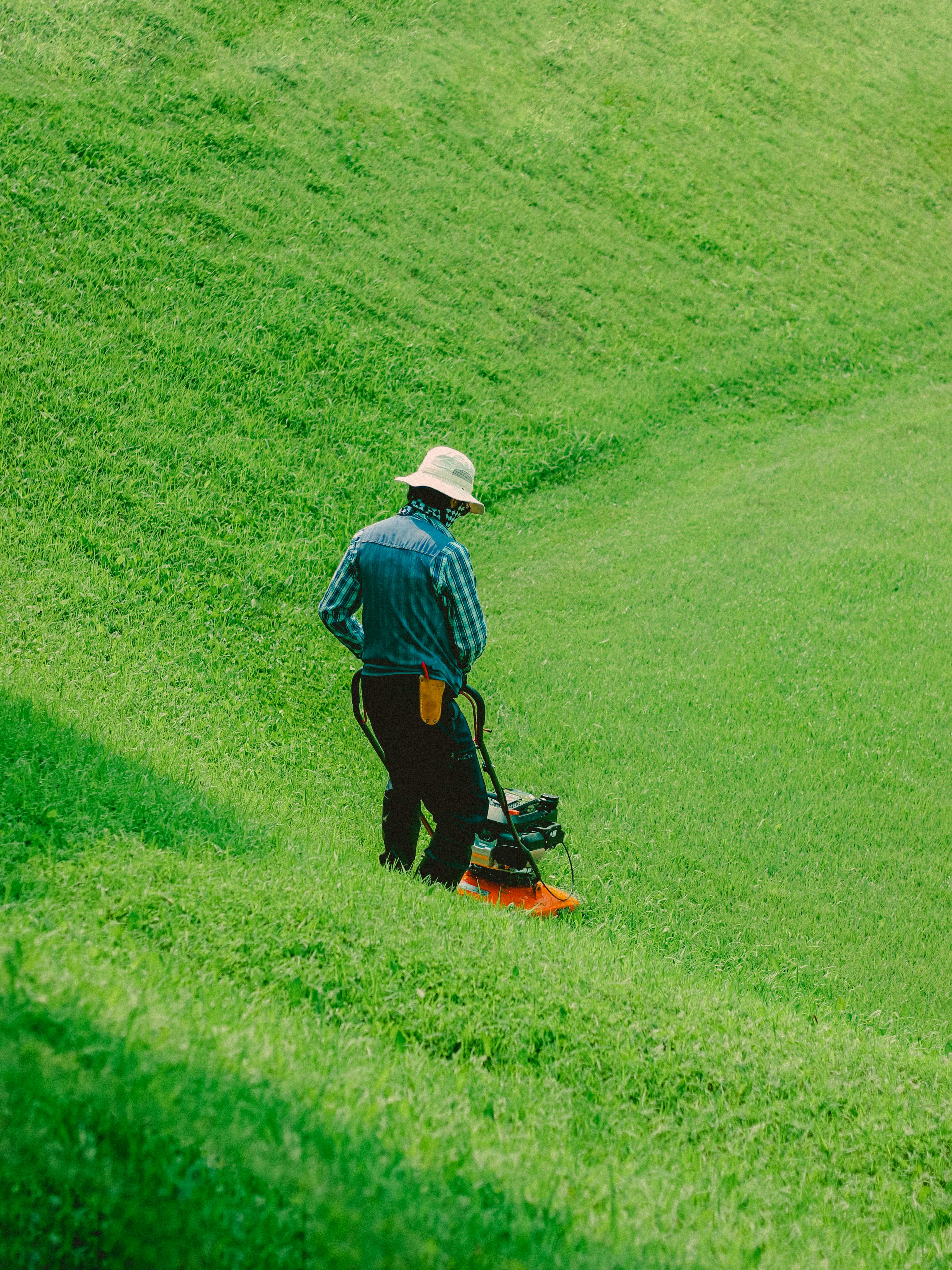 Lawn Care through GrabGig